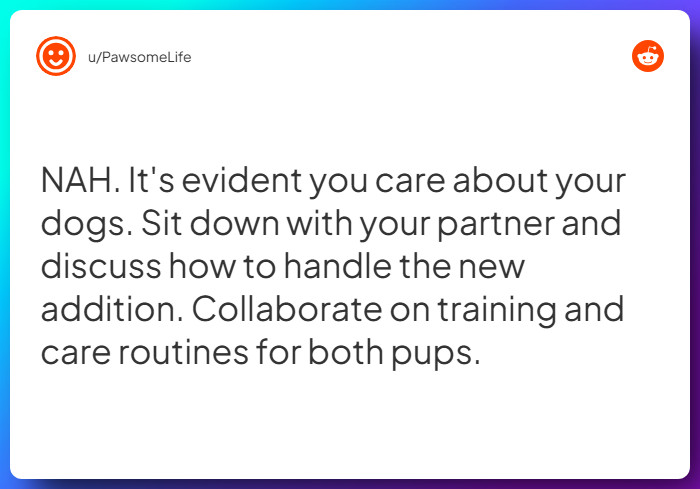 Comment from u/PawsomeLife