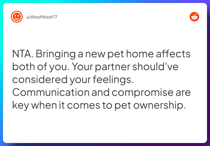 Comment from u/WoofWoof77