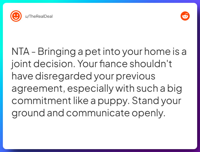 Comment from u/TheRealDeal