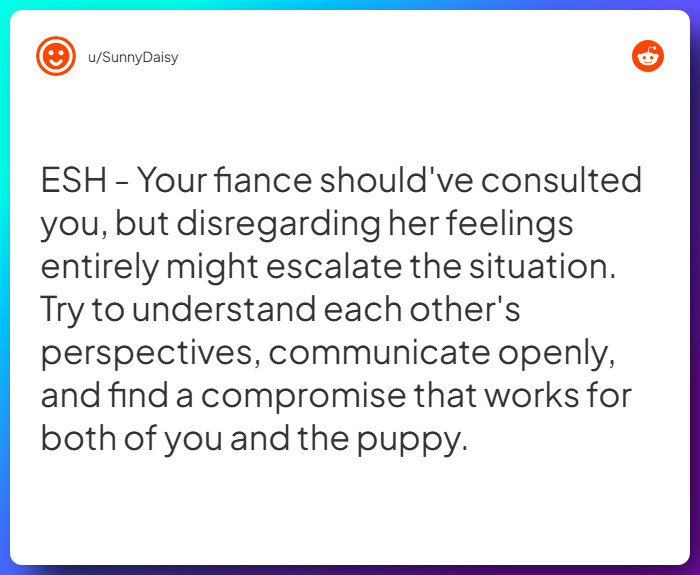 Comment from u/SunnyDaisy