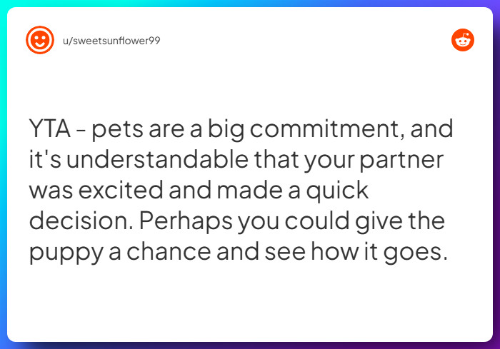 Comment from u/sweetsunflower99