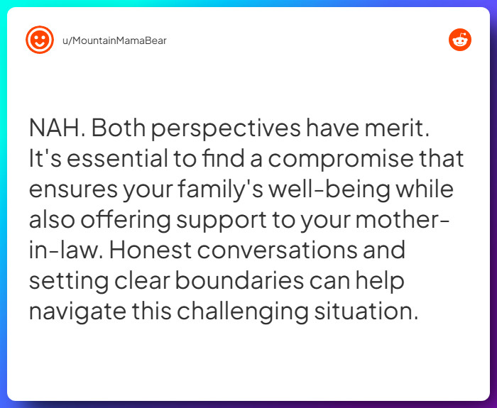 Comment from u/MountainMamaBear