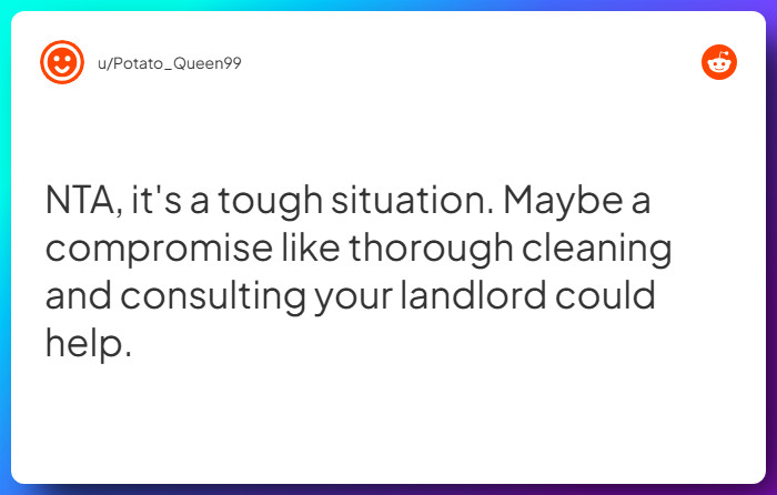 Comment from u/Potato_Queen99