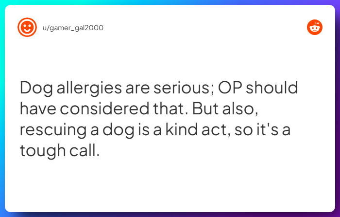 Comment from u/gamer_gal2000