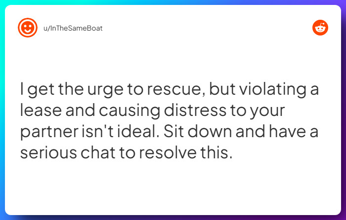 Comment from u/InTheSameBoat