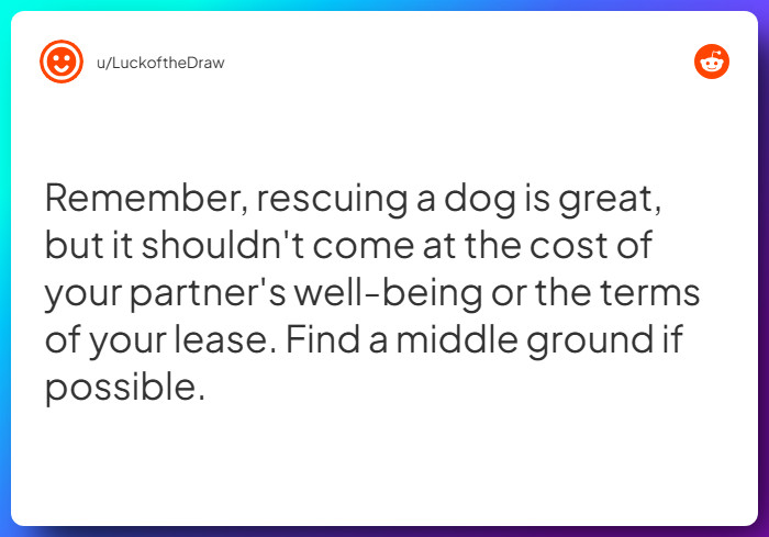 Comment from u/LuckoftheDraw