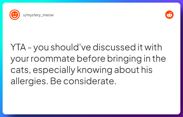 Comment from u/mystery_meow