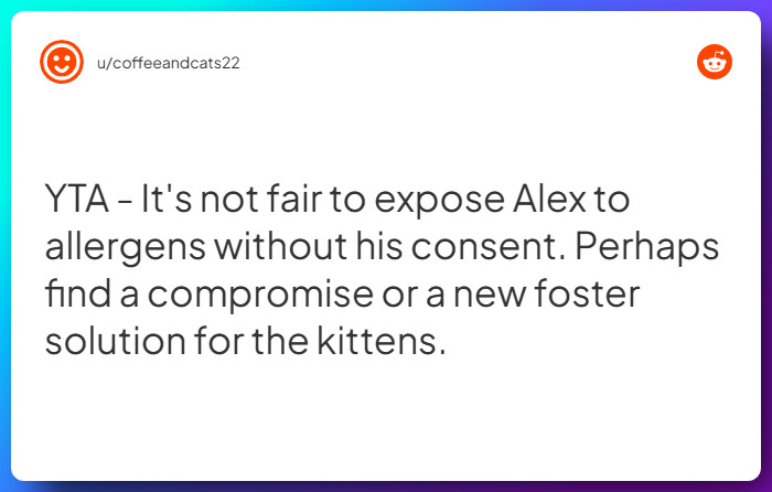 Comment from u/coffeeandcats22