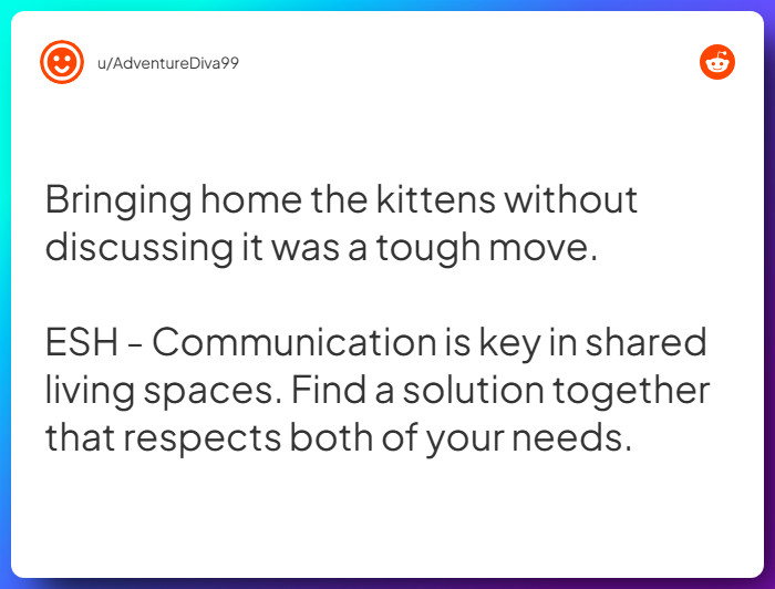 Comment from u/AdventureDiva99