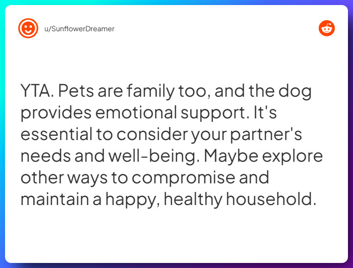 Comment from u/SunflowerDreamer