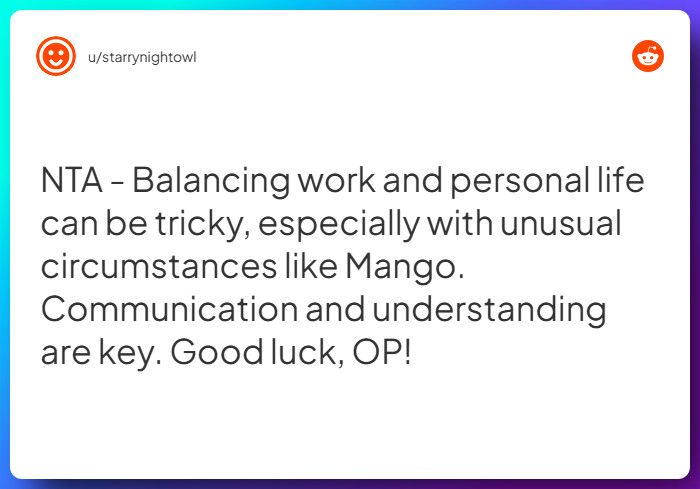 Comment from u/starrynightowl