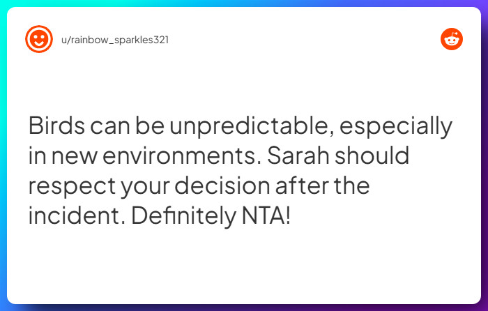 Comment from u/rainbow_sparkles321