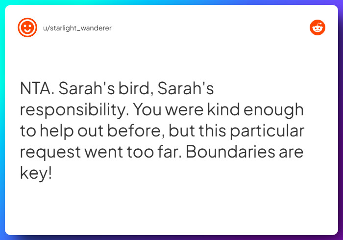 Comment from u/starlight_wanderer