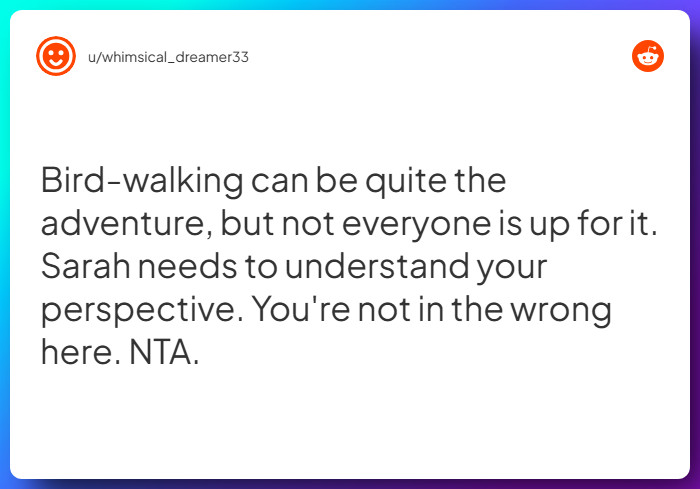 Comment from u/whimsical_dreamer33