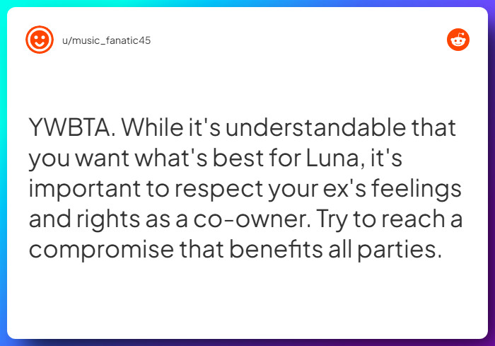 Comment from u/music_fanatic45