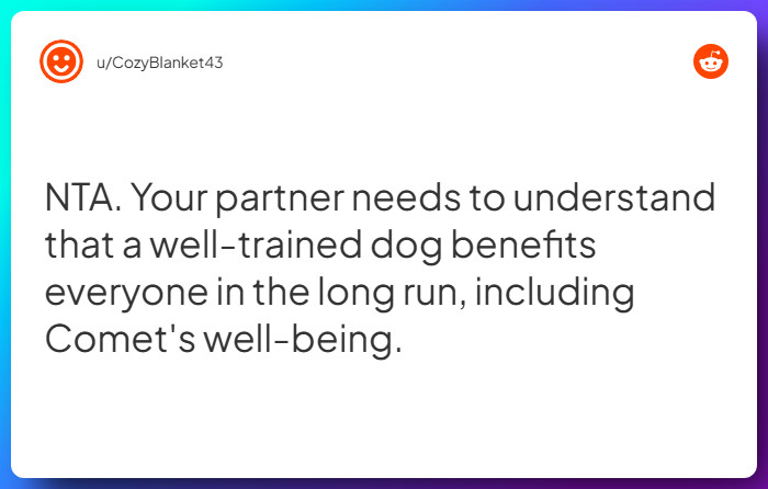 Comment from u/CozyBlanket43