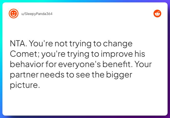 Comment from u/SleepyPanda364