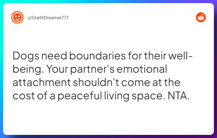 Comment from u/StarlitDreamer777