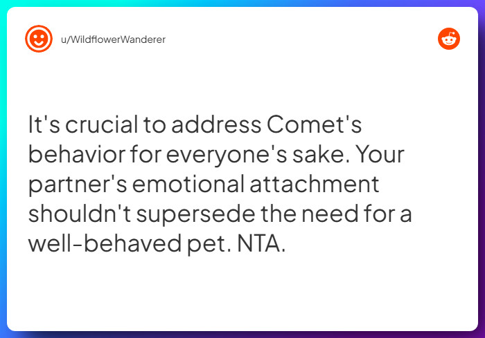 Comment from u/WildflowerWanderer