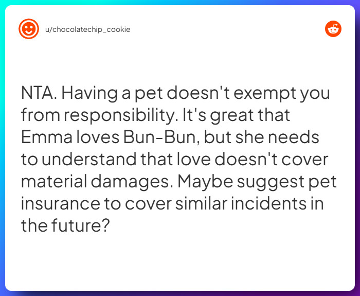 Comment from u/chocolatechip_cookie