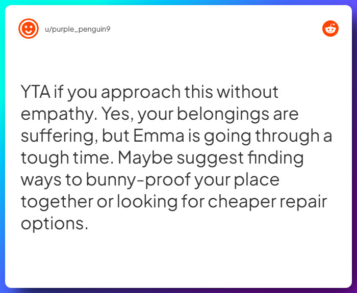 Comment from u/purple_penguin9