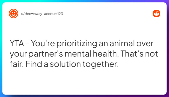 Comment from u/throwaway_account123