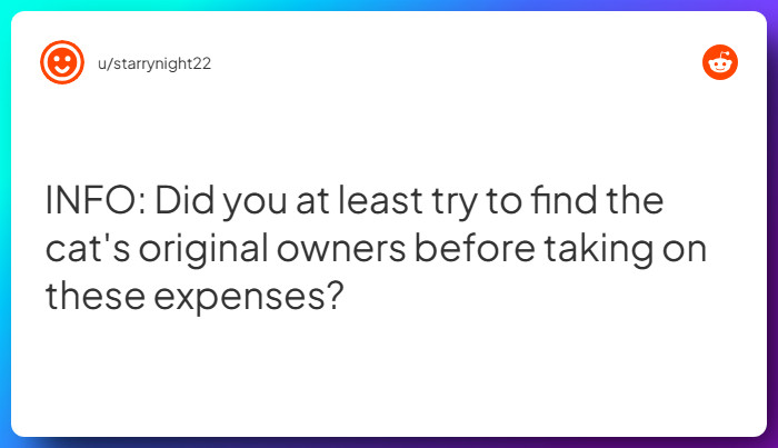 Comment from u/starrynight22