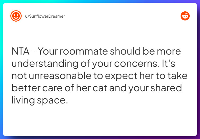 Comment from u/SunflowerDreamer