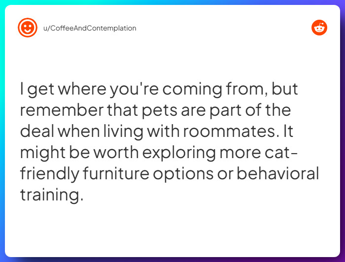 Comment from u/CoffeeAndContemplation