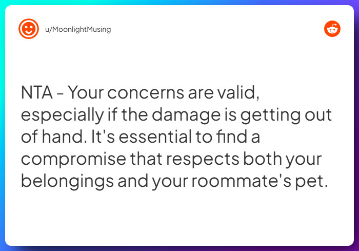 Comment from u/MoonlightMusing