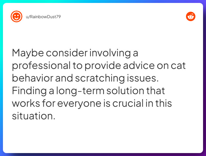 Comment from u/RainbowDust79