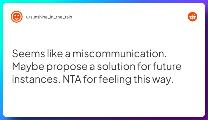 Comment from u/sunshine_in_the_rain