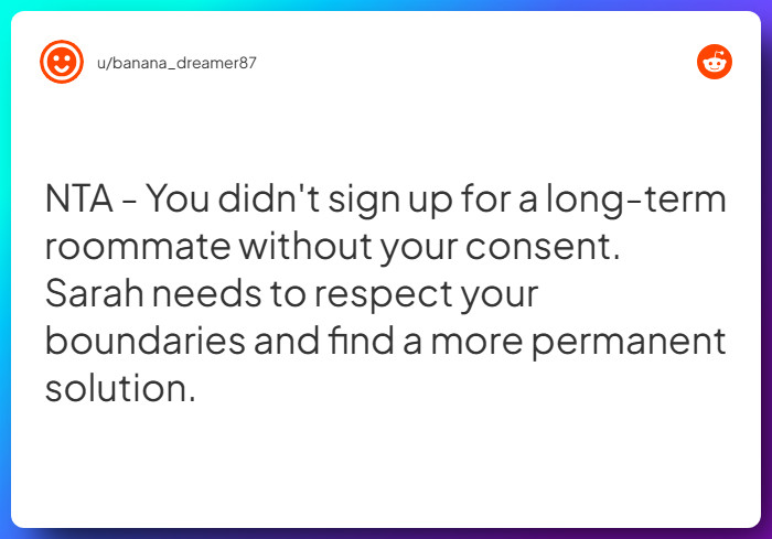 Comment from u/banana_dreamer87