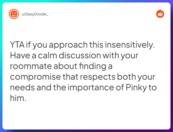 Comment from u/DaisyDoodle_