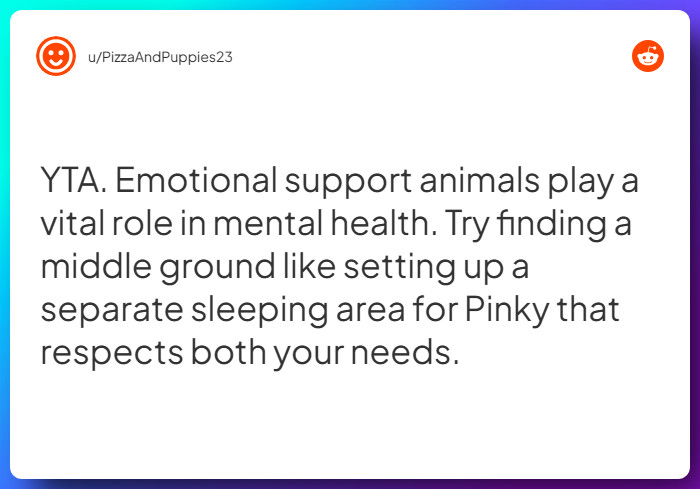 Comment from u/PizzaAndPuppies23