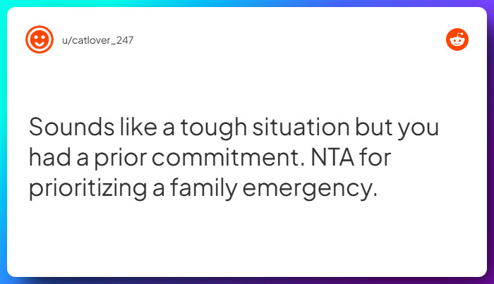 Comment from u/catlover_247