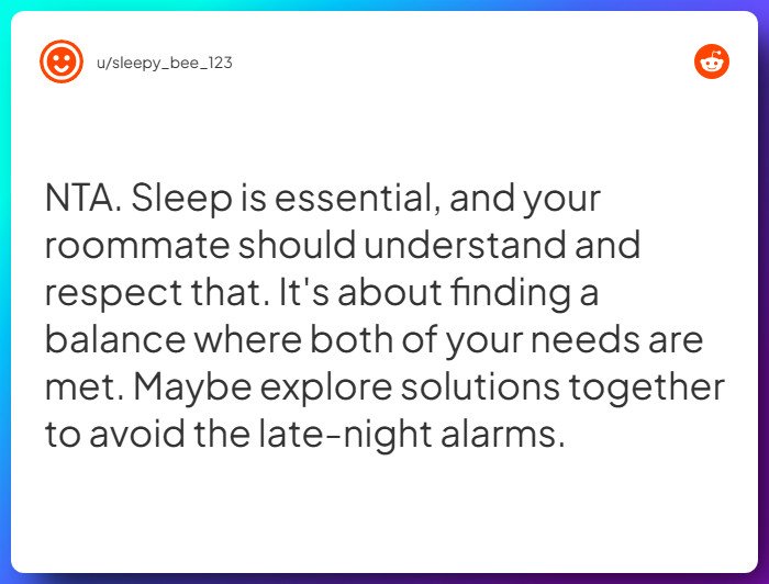 Comment from u/sleepy_bee_123