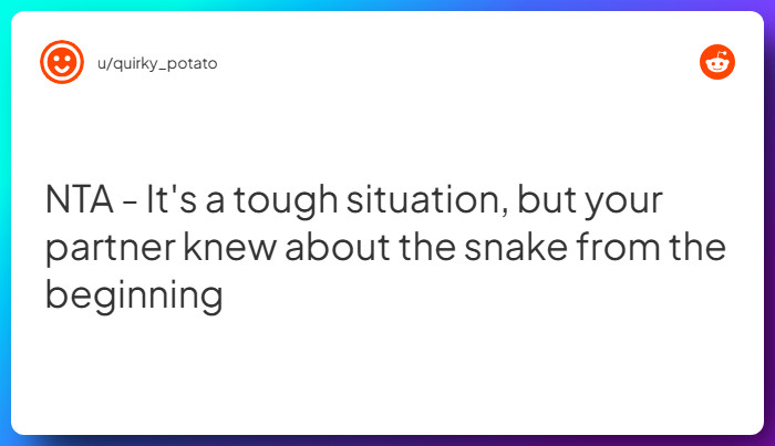 Comment from u/quirky_potato