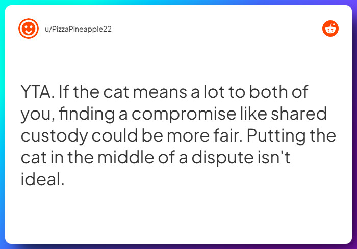 Comment from u/PizzaPineapple22