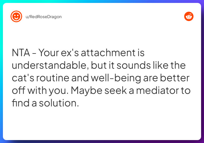 Comment from u/RedRoseDragon