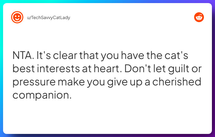 Comment from u/TechSavvyCatLady