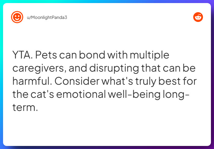 Comment from u/MoonlightPanda3