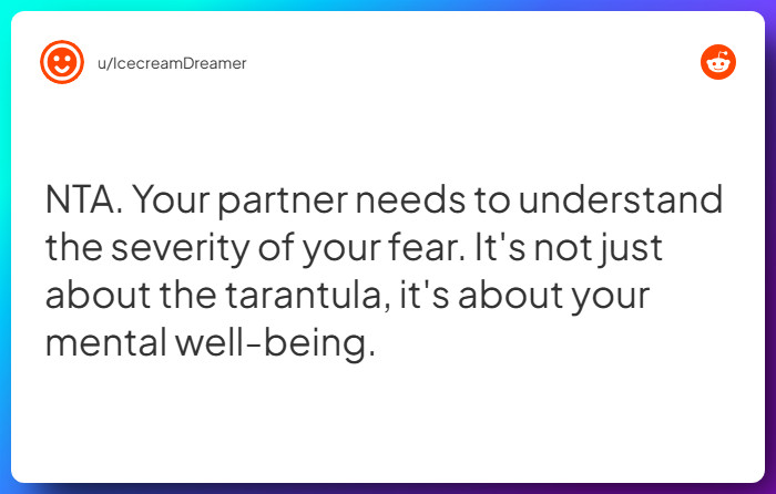 Comment from u/IcecreamDreamer