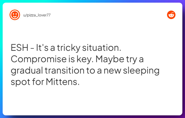 Comment from u/pizza_lover77