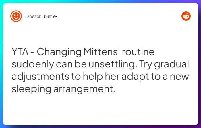 Comment from u/beach_bum99