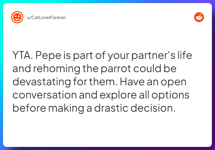 Comment from u/CatLoverForever