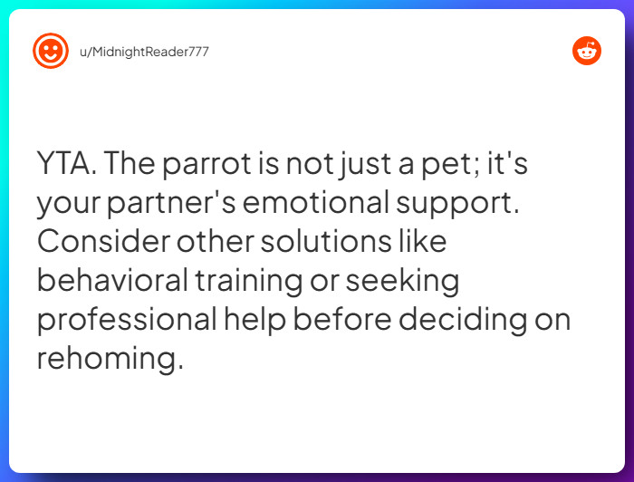 Comment from u/MidnightReader777