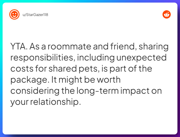 Comment from u/StarGazer118