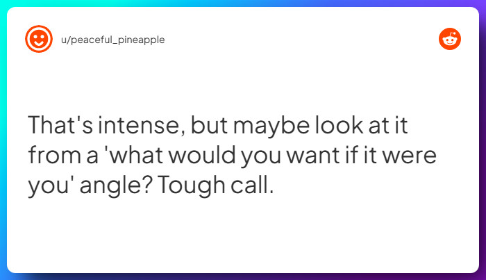 Comment from u/peaceful_pineapple