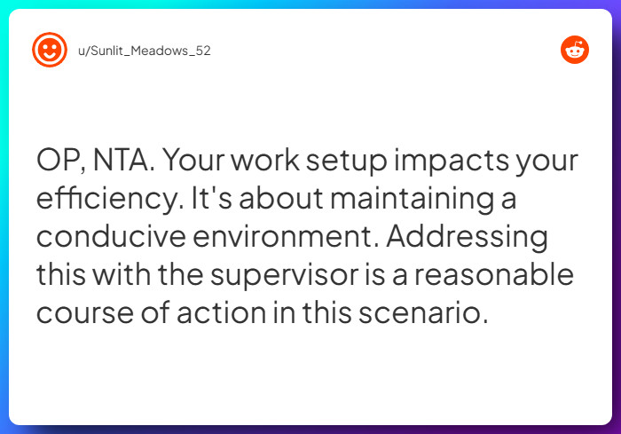 Comment from u/Sunlit_Meadows_52